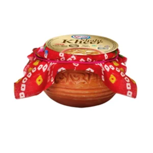 Savoy Shahi Kheer Ice Cream Cup 100ml